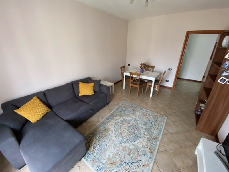 image3 (2).jpeg